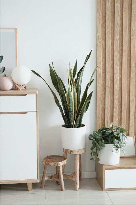 Scandinavian dining